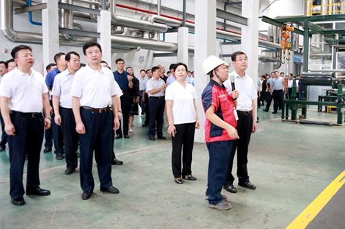 莱西市委市政府调研青岛东方雨虹