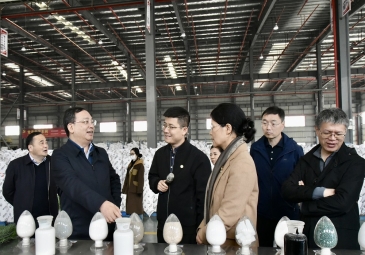 湖南省发改委党组书记、主任黄东红一行调研岳阳东方雨虹